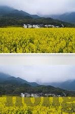 大象传媒麻豆视频-大象传媒与麻豆视频，重塑内容创作与观剧体验的独特视角
